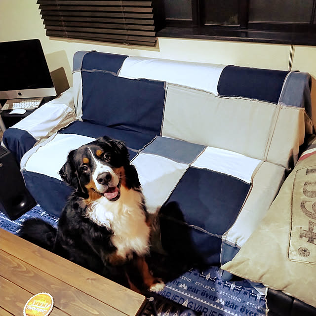 maruさんの実例写真