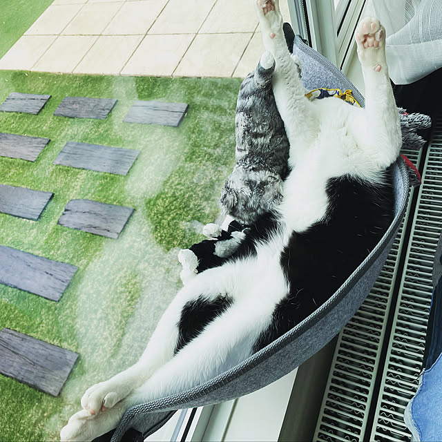 KUROさんの実例写真