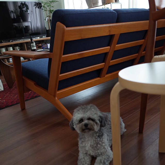 marieさんの部屋