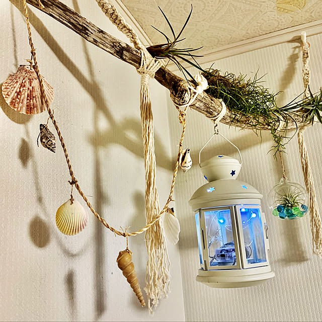 aporotiaさんの実例写真