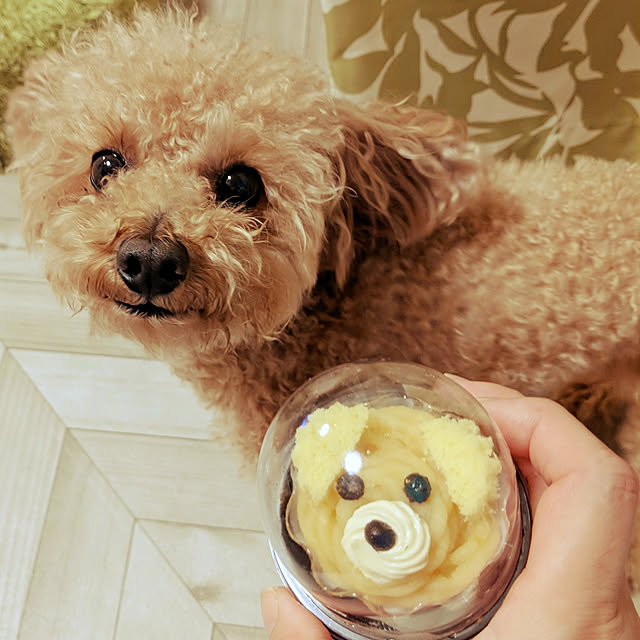 HIROMINさんの実例写真