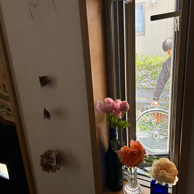 portulacaさんの部屋
