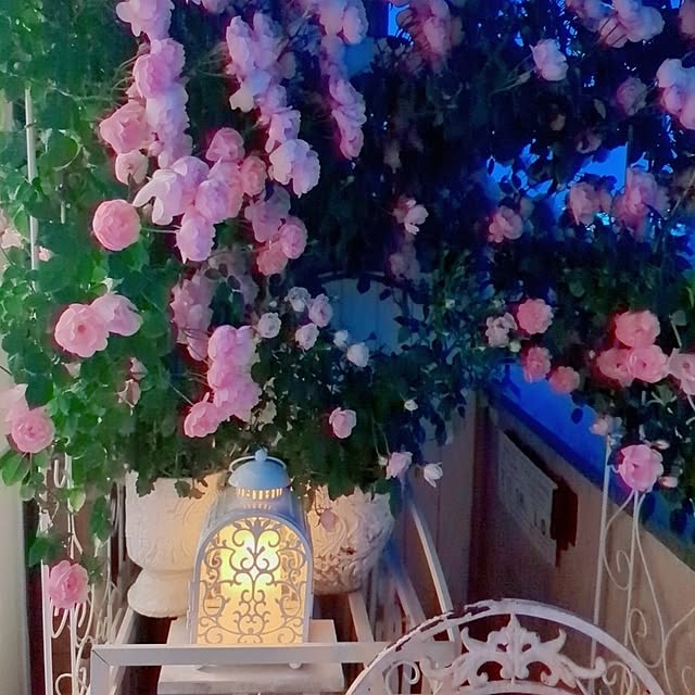 twinkle-butterfly38さんの部屋