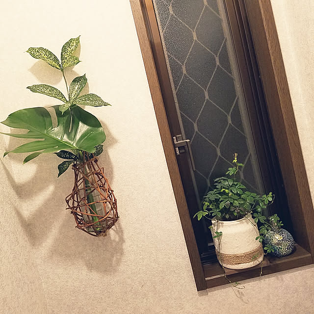 aoitkさんの実例写真