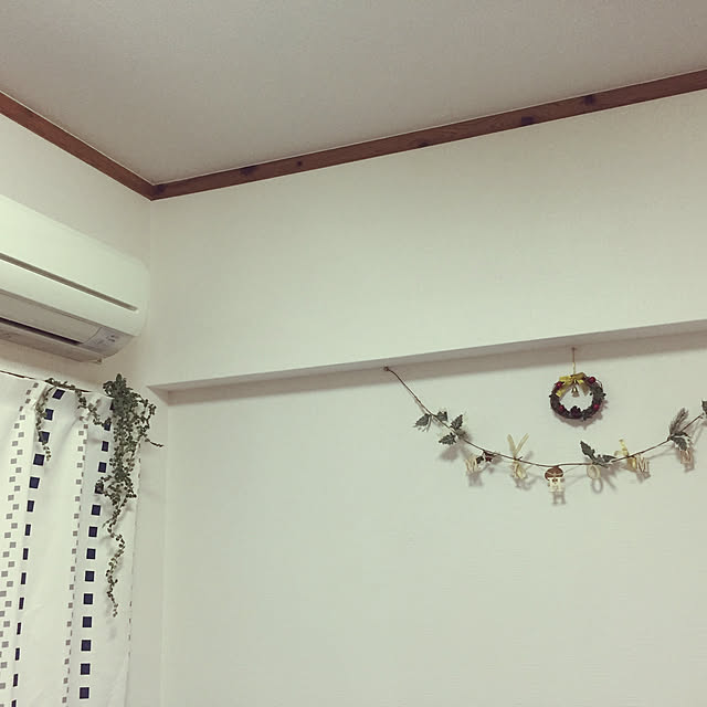 壁/天井/一人暮らし/観葉植物/100均のインテリア実例 - 2018-12-18 22:53:23