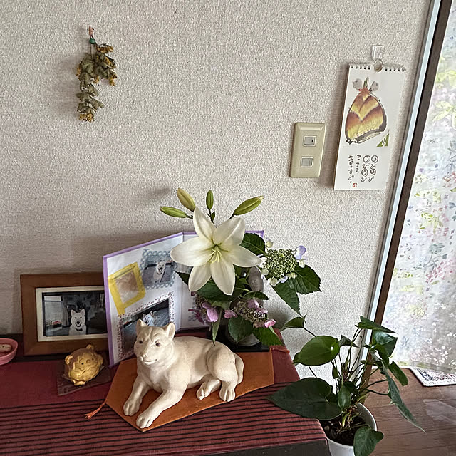 ritsukoさんの部屋