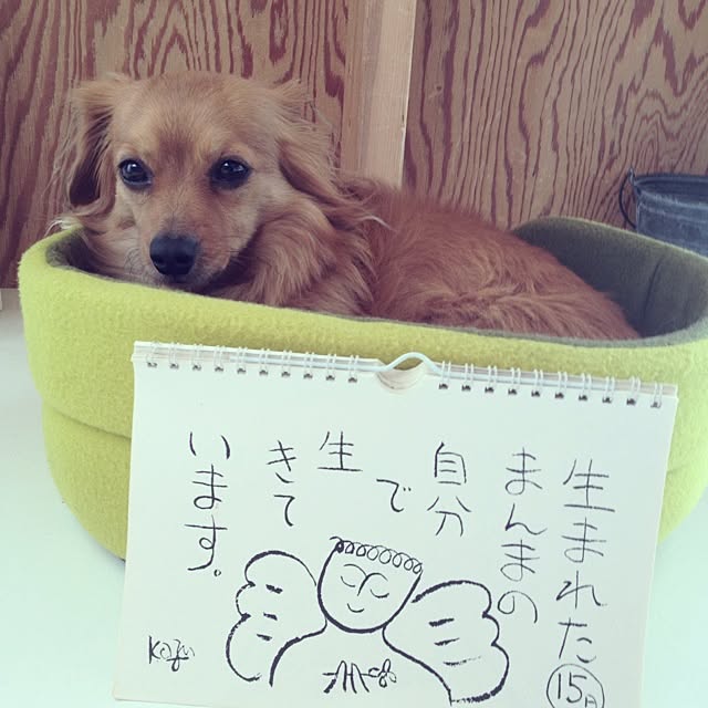 mikarinさんの実例写真