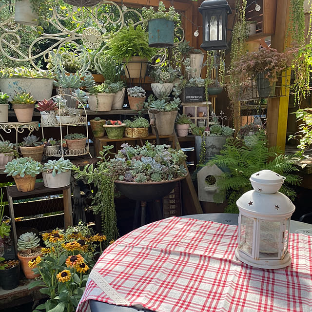 mintteaさんの部屋