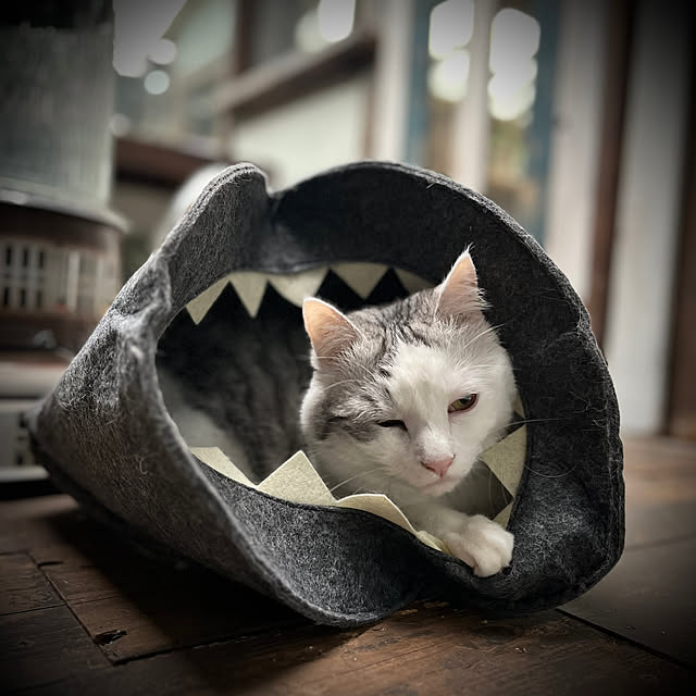 marusanさんの実例写真