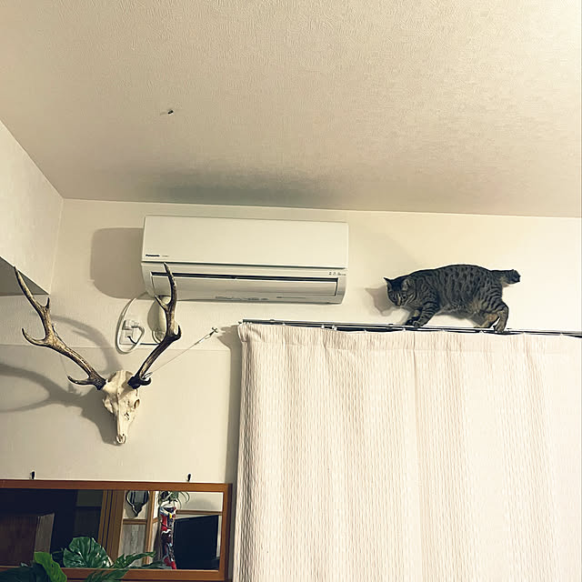 Mさんの実例写真