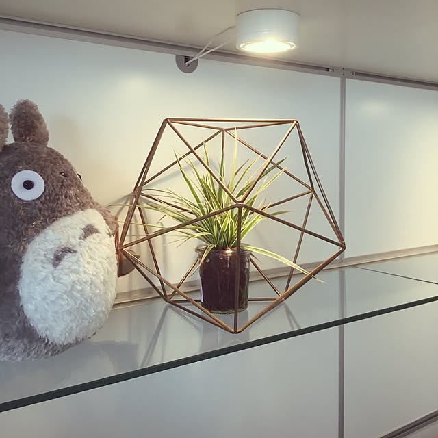ffgreenさんの実例写真