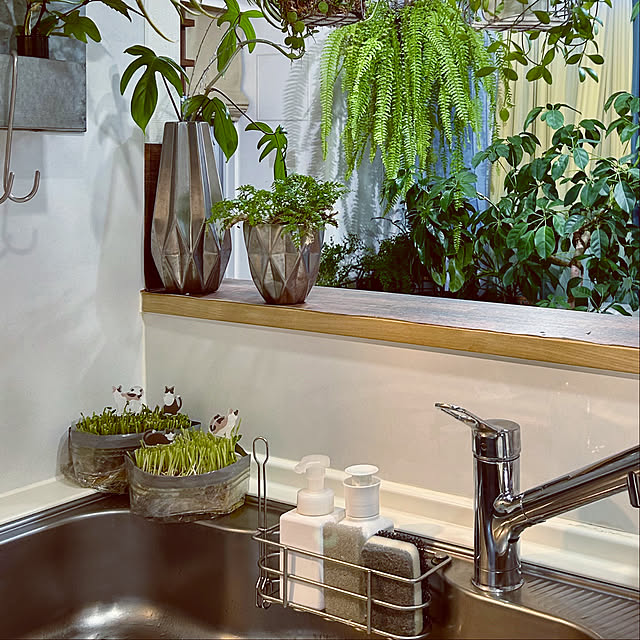 DAYONEさんの実例写真