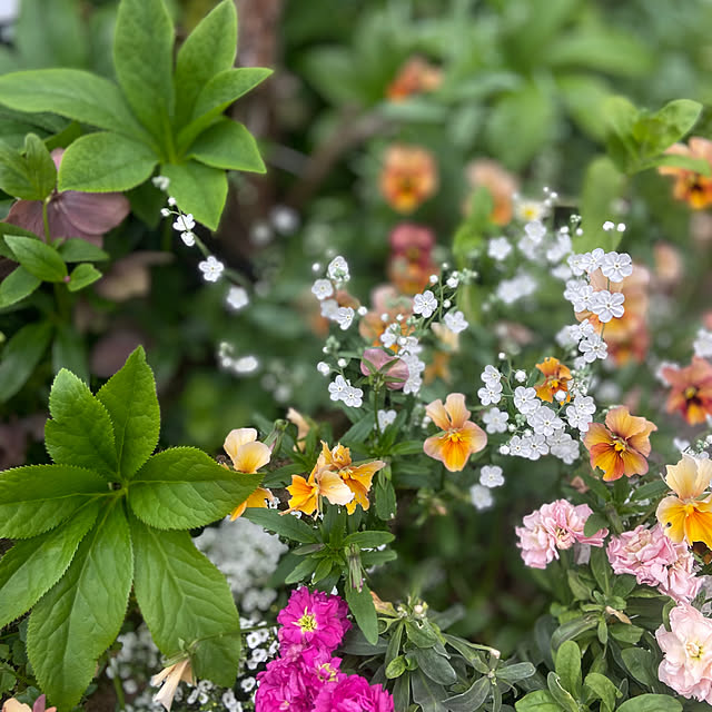 na-chanさんの部屋