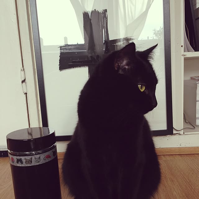 awachan77さんの実例写真