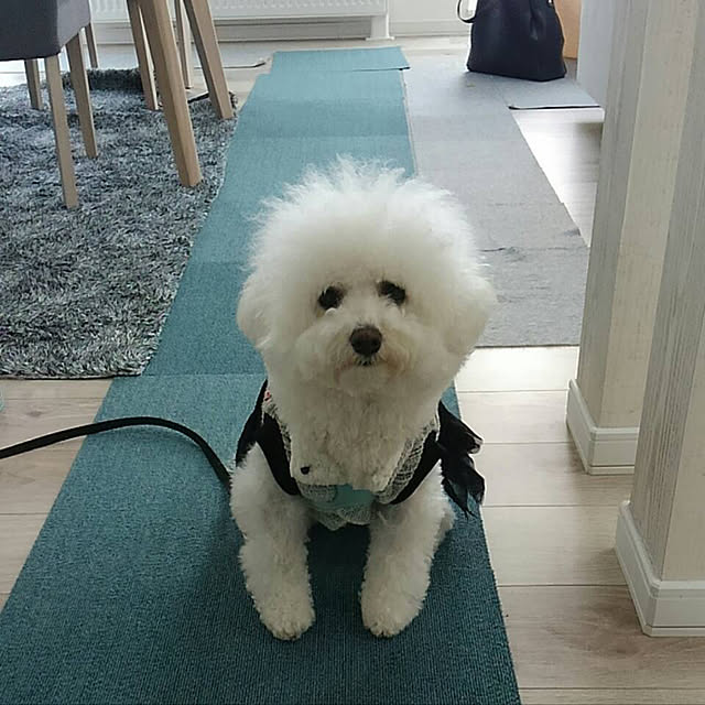 unichanさんの実例写真