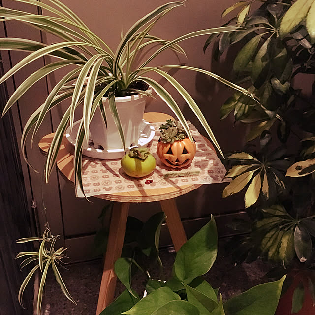itochiさんの実例写真