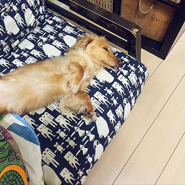 ikeさんの実例写真