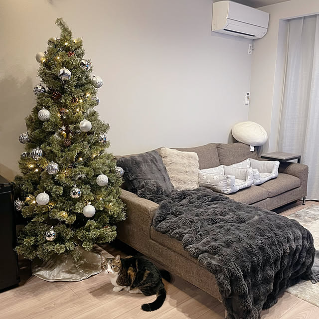 maimaiさんの実例写真