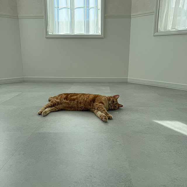 m623さんの実例写真