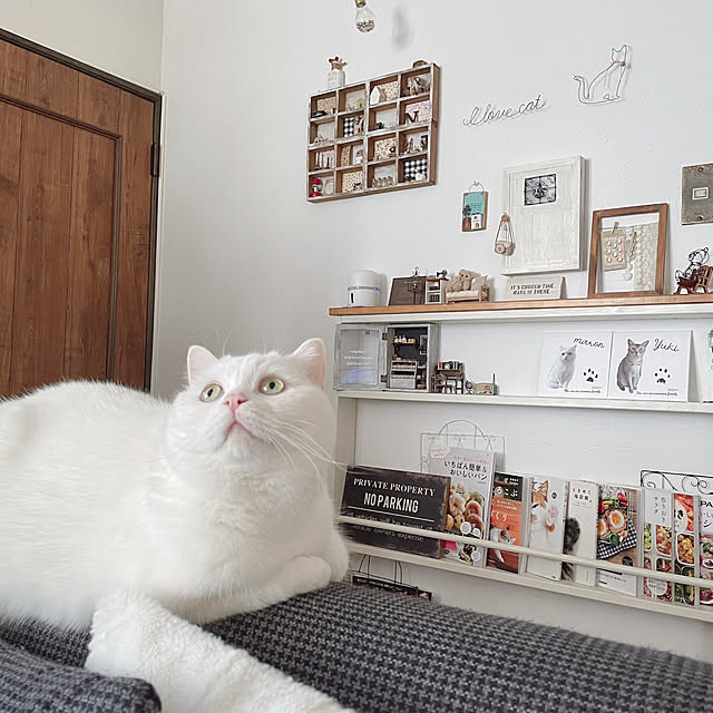 kotoriさんの部屋