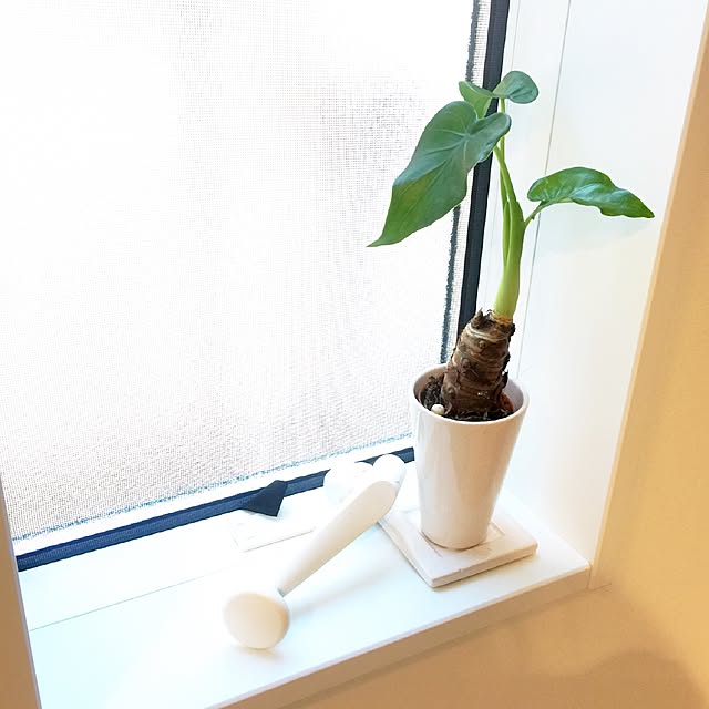puchisyuhuさんの実例写真