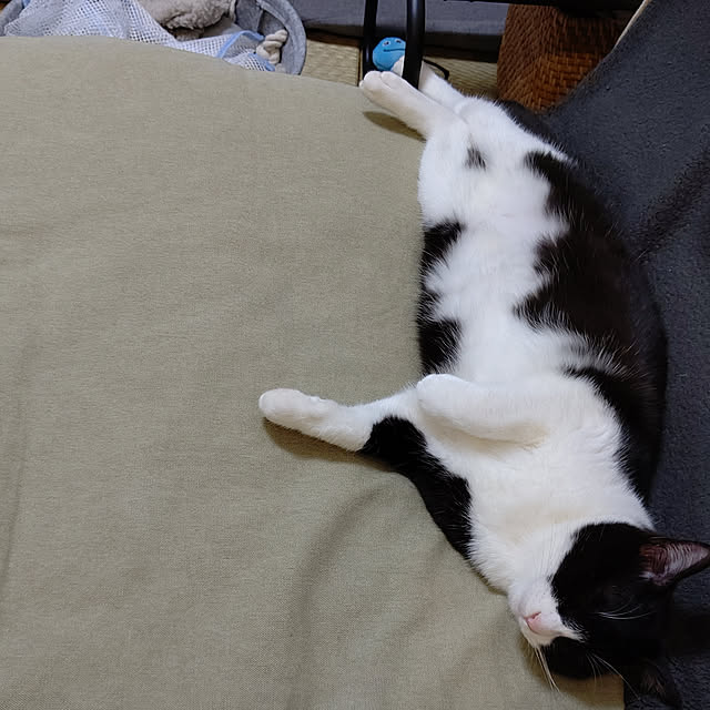 hihaさんの実例写真
