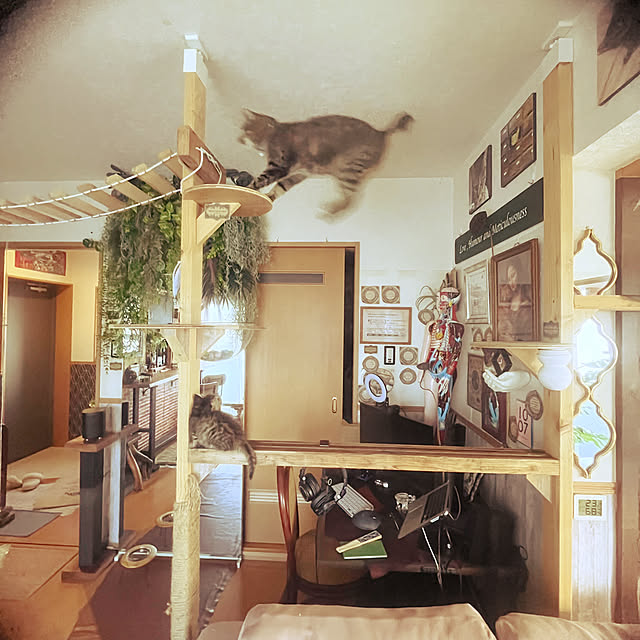 Mさんの実例写真
