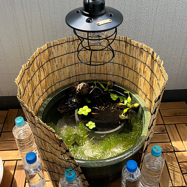sosojeeさんの部屋