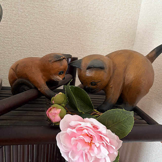 ritsukoさんの部屋