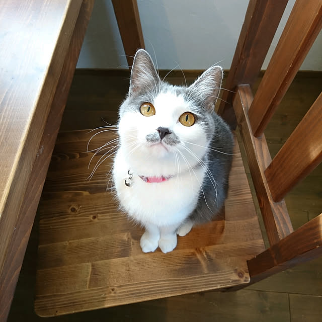 hiroさんの実例写真