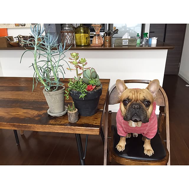 eriさんの実例写真
