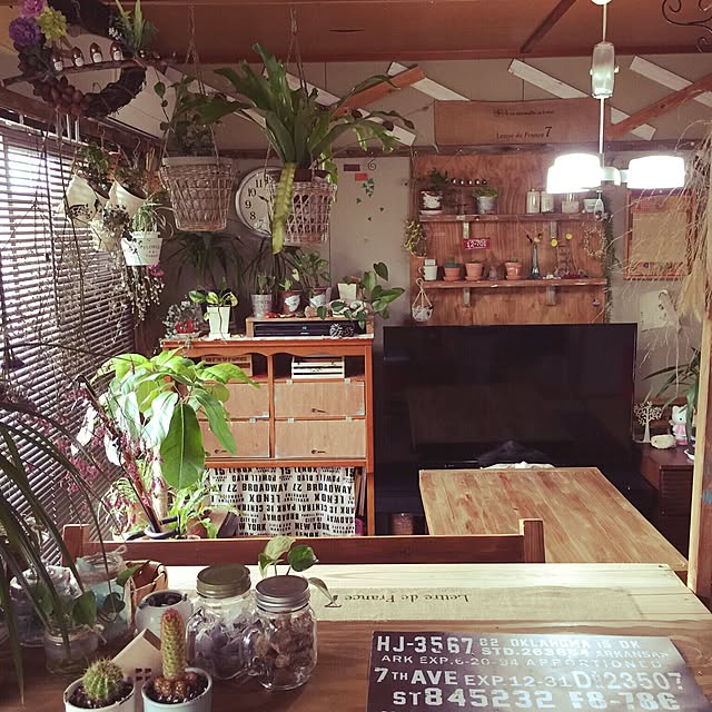 Mariさんの実例写真