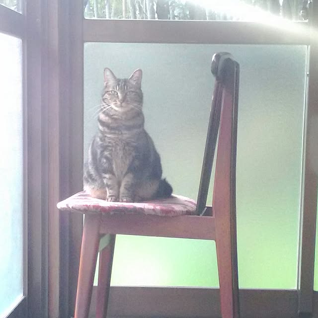 mairin318さんの実例写真