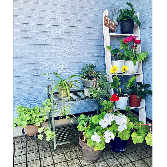 CoCo0617さんの部屋
