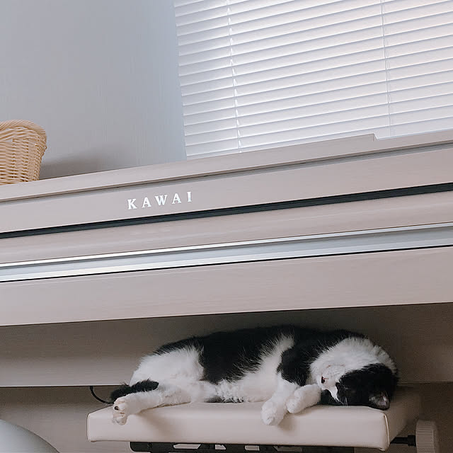 kintokotonさんの実例写真