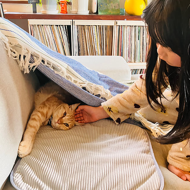 tomorinさんの部屋