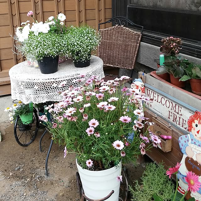 midoriさんの実例写真