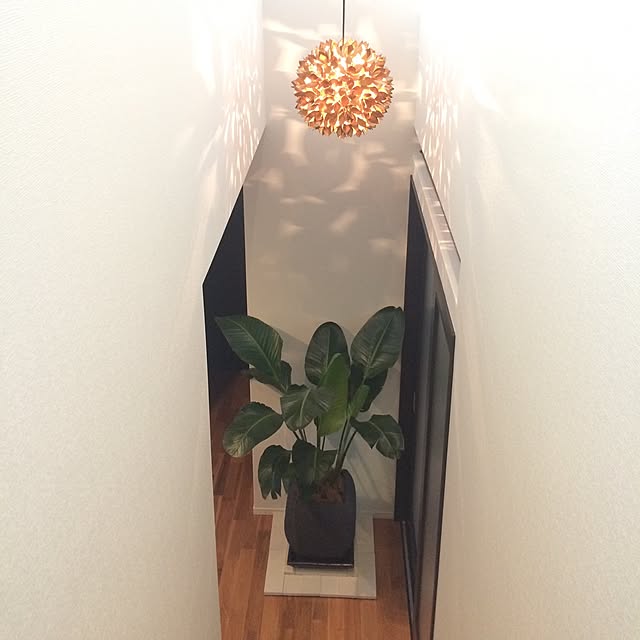 jincocoさんの実例写真
