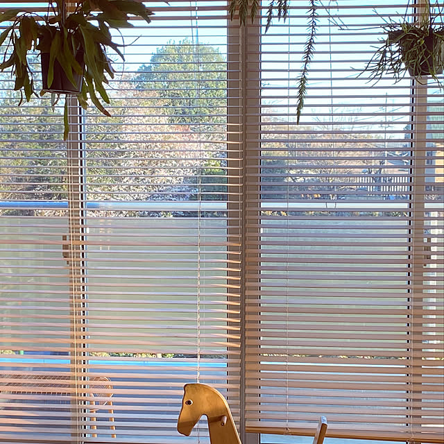 do___ra.さんの実例写真