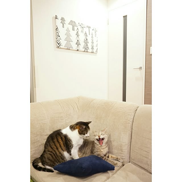 arutotoさんの実例写真