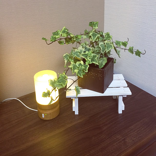100均/ダイソー/観葉植物/リビングのインテリア実例 - 2019-03-04 23:11:26