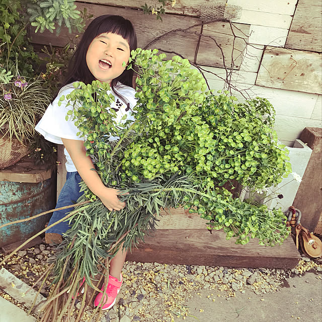 GreenWorksさんの実例写真