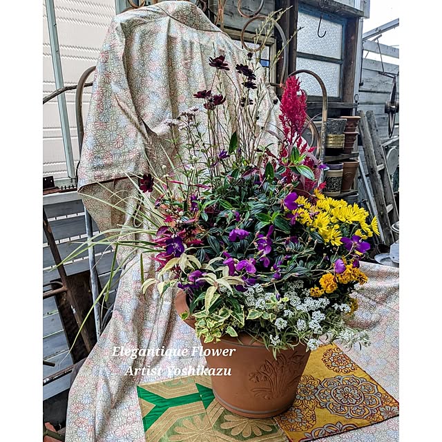 ElegantiqueFlowerさんの部屋