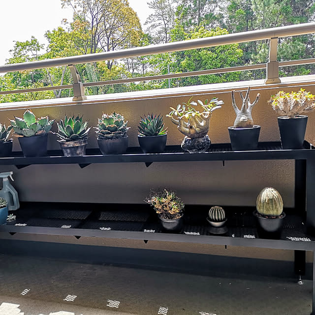 thousandleaf102さんの実例写真