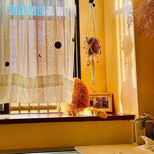 naokoさんの部屋