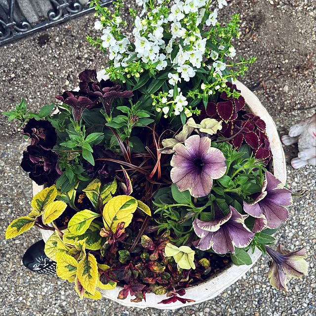 yukarin-gardenさんの部屋