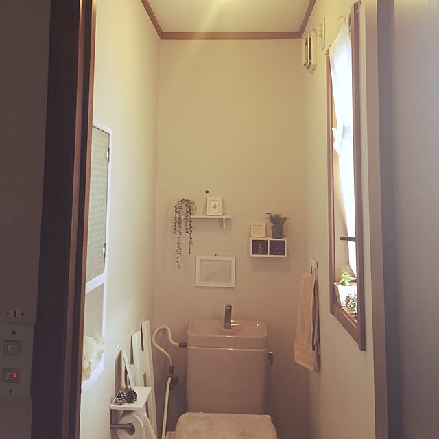 pero1pan5さんの実例写真