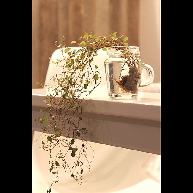 cafe0415hさんの実例写真