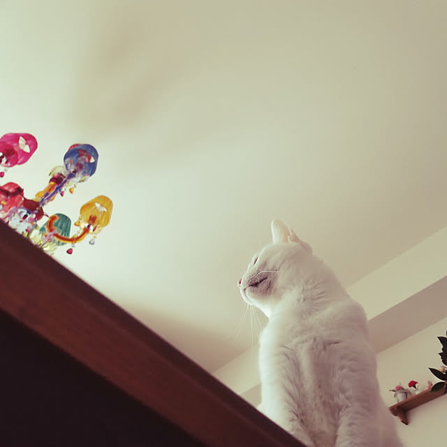 keikomokonさんの実例写真