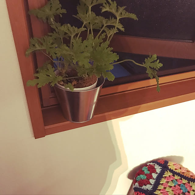 Sayakoさんの実例写真